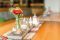 IMG_4228_hi_res
